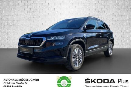 Skoda Karoq Gebrauchtwagen