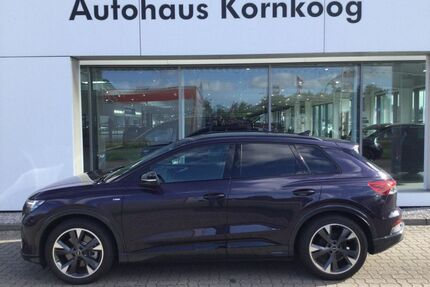 Audi Q4 e-tron Gebrauchtwagen