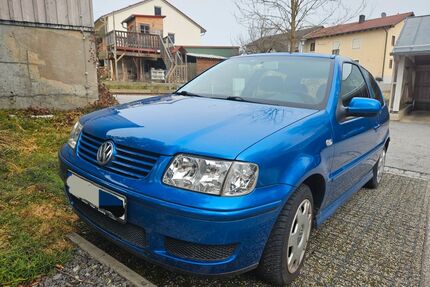 VW Polo Gebrauchtwagen