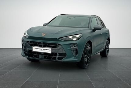 Cupra Terramar Gebrauchtwagen