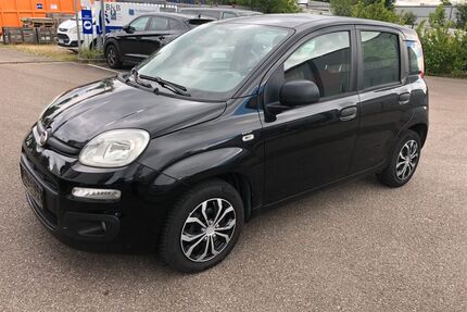 Fiat Panda Gebrauchtwagen