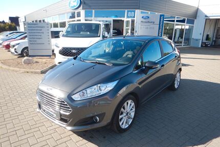 Ford Fiesta Gebrauchtwagen