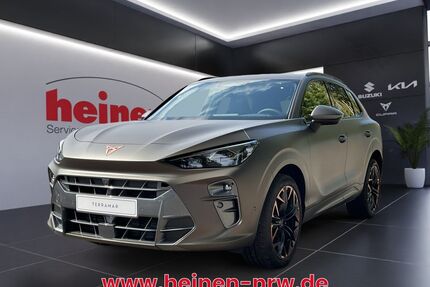 Cupra Terramar Gebrauchtwagen