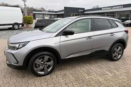 Opel Grandland (X) Gebrauchtwagen