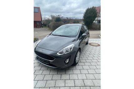 Ford Fiesta Gebrauchtwagen