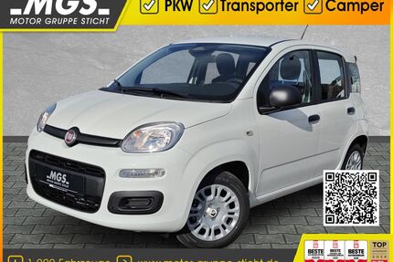 Fiat Panda Gebrauchtwagen