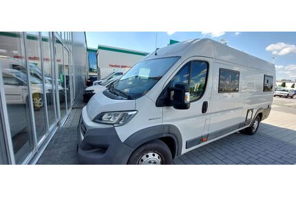 Fiat Ducato Gebrauchtwagen