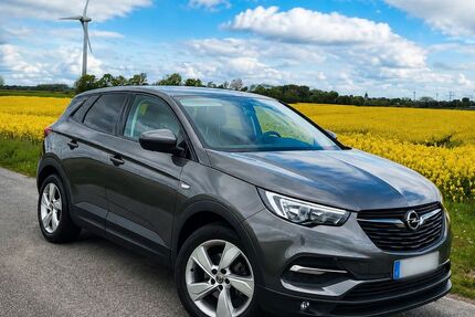 Opel Grandland (X) Gebrauchtwagen