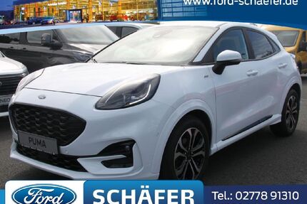 Ford Puma Gebrauchtwagen