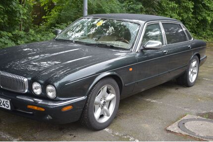 Jaguar Daimler Gebrauchtwagen