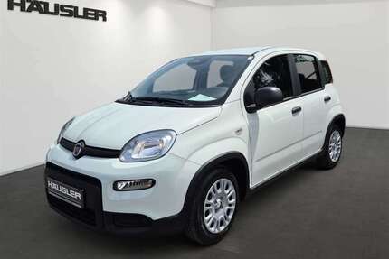 Fiat Panda Gebrauchtwagen
