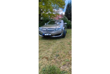 Opel Insignia Gebrauchtwagen