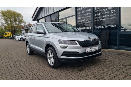 Skoda Karoq Gebrauchtwagen