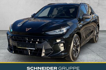 Cupra Terramar Gebrauchtwagen