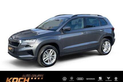 Skoda Karoq Gebrauchtwagen