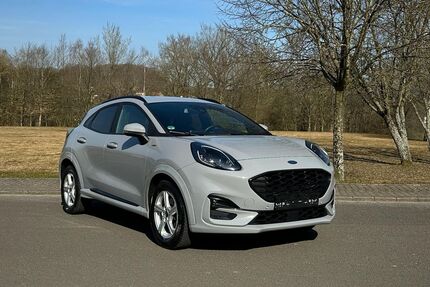 Ford Puma Gebrauchtwagen