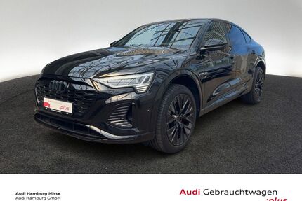 Audi Q8 e-tron Gebrauchtwagen