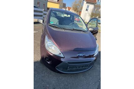 Ford Ka/Ka+ Gebrauchtwagen