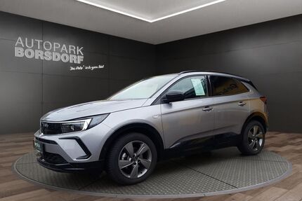 Opel Grandland (X) Gebrauchtwagen