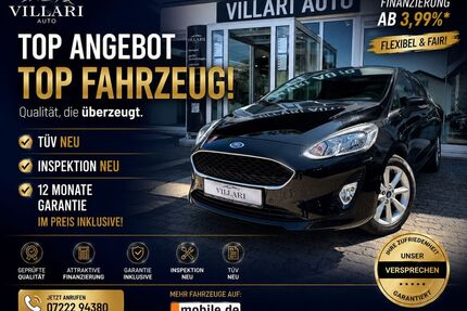 Ford Fiesta Gebrauchtwagen