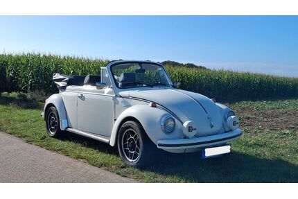 VW Käfer Gebrauchtwagen