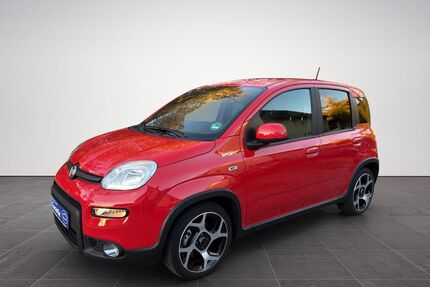 Fiat Panda Gebrauchtwagen