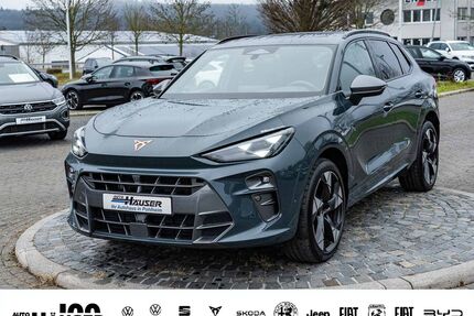 Cupra Terramar Gebrauchtwagen