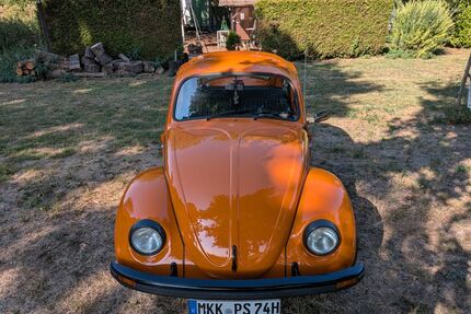 VW Käfer Gebrauchtwagen