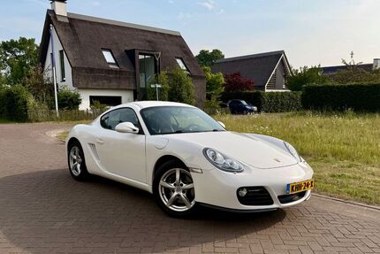 Porsche Cayman Gebrauchtwagen
