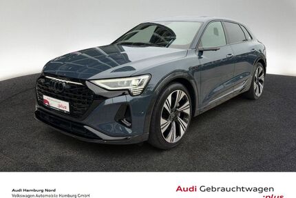 Audi Q8 e-tron Gebrauchtwagen
