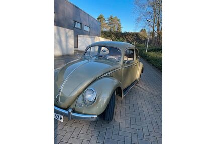 VW Käfer Gebrauchtwagen