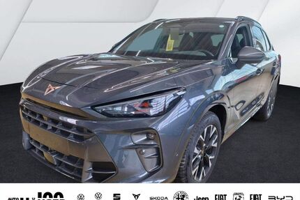 Cupra Terramar Gebrauchtwagen