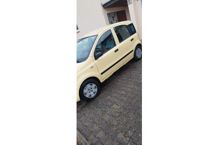 Fiat Panda Gebrauchtwagen