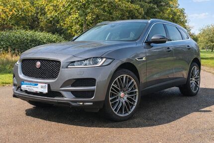 Jaguar F-Pace Gebrauchtwagen