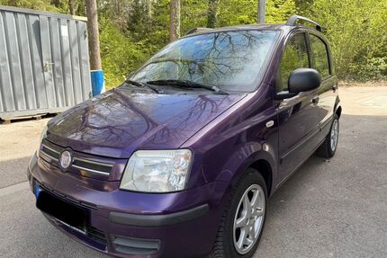 Fiat Panda Gebrauchtwagen