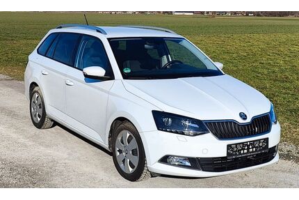 Skoda Fabia Gebrauchtwagen