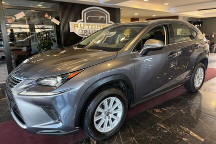 Lexus NX 300 Gebrauchtwagen