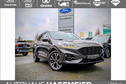 Ford Kuga Gebrauchtwagen