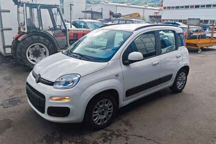 Fiat Panda Gebrauchtwagen