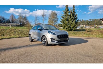 Ford Puma Gebrauchtwagen