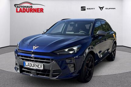 Cupra Terramar Gebrauchtwagen