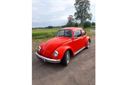 VW Käfer Gebrauchtwagen
