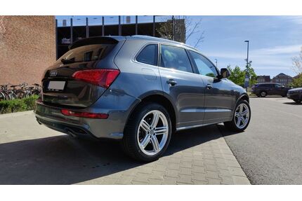 Audi Q5 Gebrauchtwagen