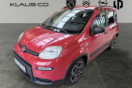 Fiat Panda Gebrauchtwagen