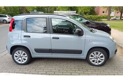 Fiat New Panda Gebrauchtwagen