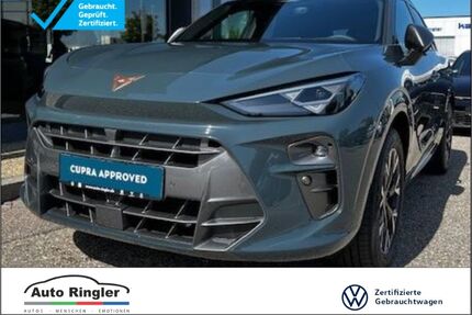 Cupra Terramar Gebrauchtwagen