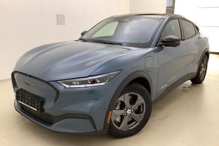 Ford Mustang Mach-E Gebrauchtwagen