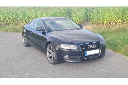 Audi A5 Gebrauchtwagen