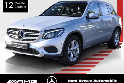 Mercedes-Benz GLC 250 Gebrauchtwagen
