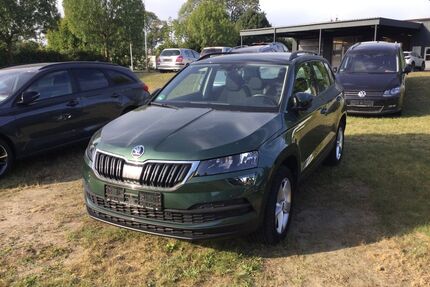 Skoda Karoq Gebrauchtwagen